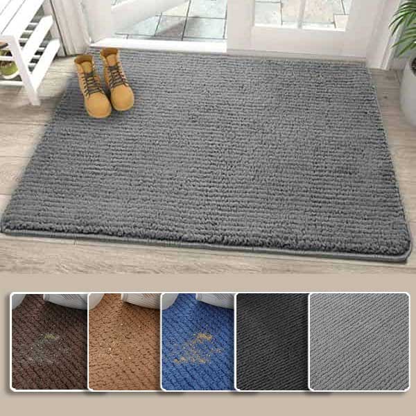 Non-Slip Indoor Door Mat 
