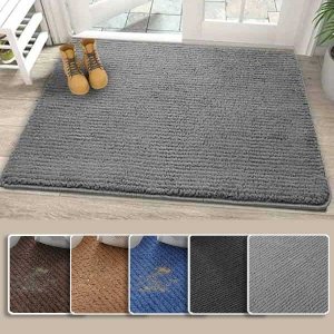 Non-Slip Indoor Door Mat 